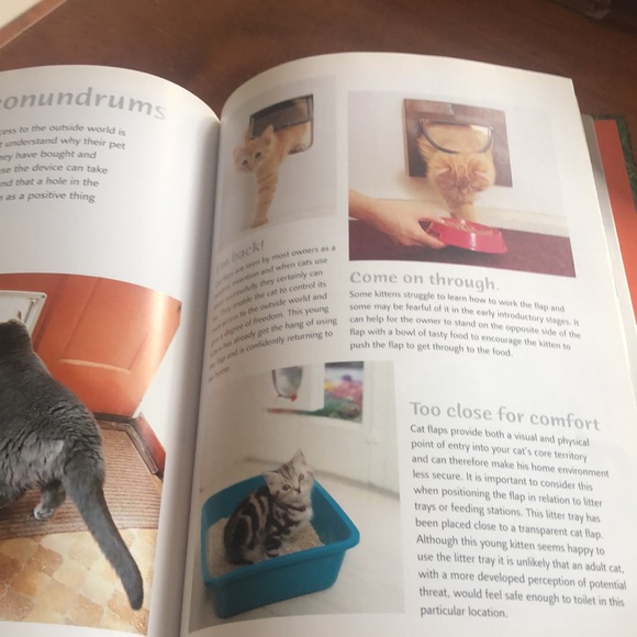 Why is my Cat doing that? By Sarah Heath - Picture 2 of 2